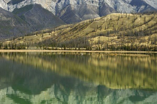 Canada, Jasper NP Reflection on Talbot Lake